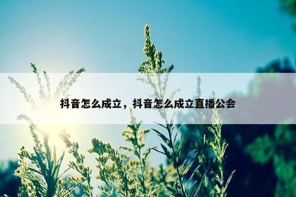 抖音怎么成立，抖音怎么成立直播公会