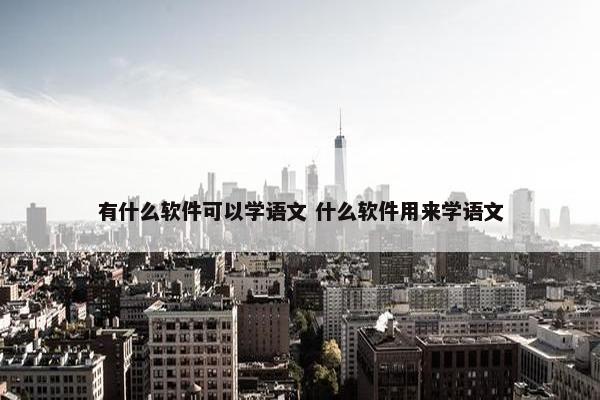 有什么软件可以学语文 什么软件用来学语文