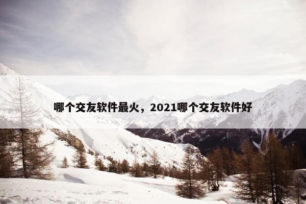 哪个交友软件最火，2021哪个交友软件好