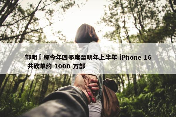 郭明錤称今年四季度至明年上半年 iPhone 16 共砍单约 1000 万部