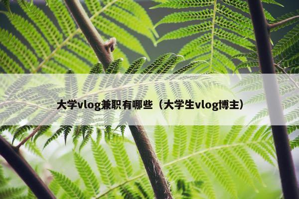 大学vlog兼职有哪些（大学生vlog博主）