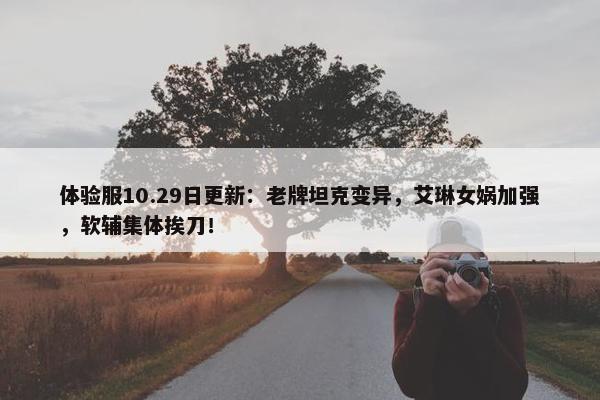 体验服10.29日更新：老牌坦克变异，艾琳女娲加强，软辅集体挨刀！