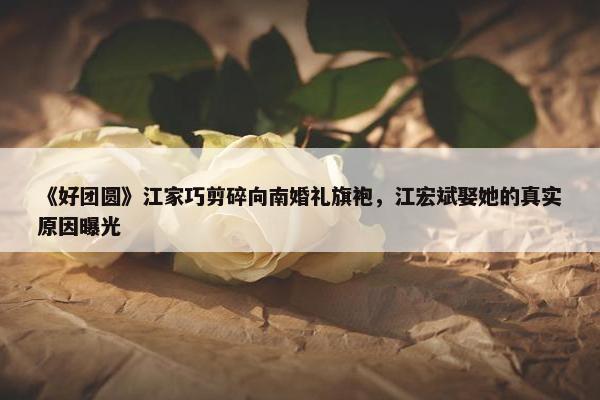 《好团圆》江家巧剪碎向南婚礼旗袍，江宏斌娶她的真实原因曝光