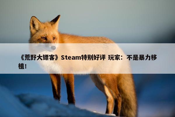 《荒野大镖客》Steam特别好评 玩家：不是暴力移植！