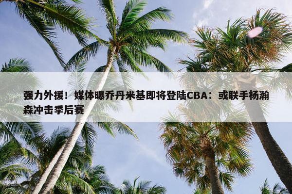 强力外援！媒体曝乔丹米基即将登陆CBA：或联手杨瀚森冲击季后赛