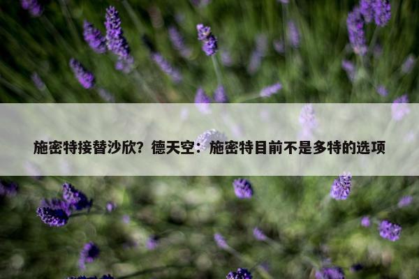 施密特接替沙欣？德天空：施密特目前不是多特的选项