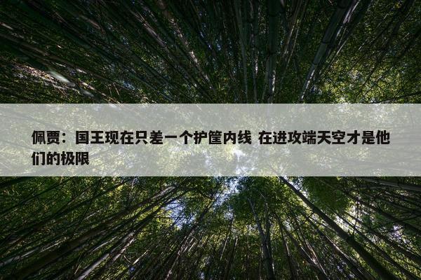 佩贾：国王现在只差一个护筐内线 在进攻端天空才是他们的极限