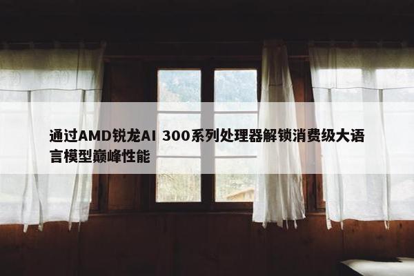 通过AMD锐龙AI 300系列处理器解锁消费级大语言模型巅峰性能