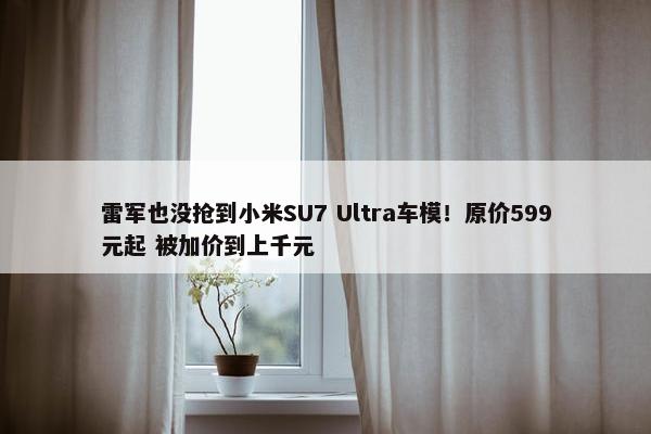 雷军也没抢到小米SU7 Ultra车模！原价599元起 被加价到上千元