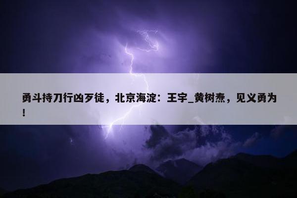 勇斗持刀行凶歹徒，北京海淀：王宇_黄树焘，见义勇为！