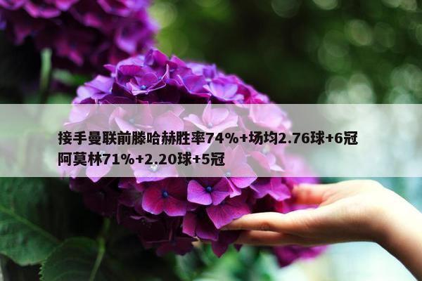 接手曼联前滕哈赫胜率74%+场均2.76球+6冠 阿莫林71%+2.20球+5冠