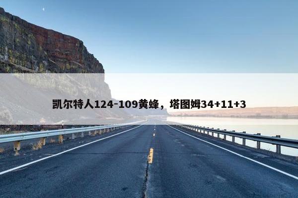 凯尔特人124-109黄蜂，塔图姆34+11+3