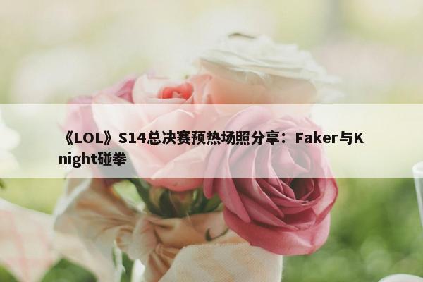 《LOL》S14总决赛预热场照分享：Faker与Knight碰拳