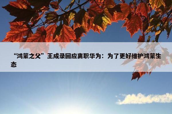 “鸿蒙之父”王成录回应离职华为：为了更好维护鸿蒙生态