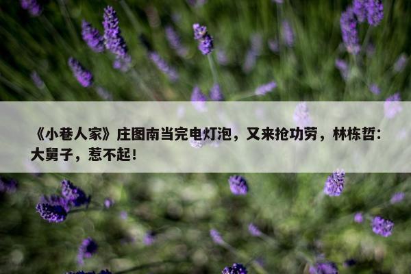 《小巷人家》庄图南当完电灯泡，又来抢功劳，林栋哲：大舅子，惹不起！