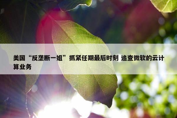 美国“反垄断一姐”抓紧任期最后时刻 追查微软的云计算业务