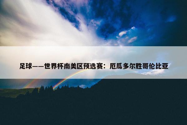 足球——世界杯南美区预选赛：厄瓜多尔胜哥伦比亚