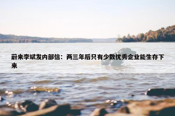 蔚来李斌发内部信：两三年后只有少数优秀企业能生存下来