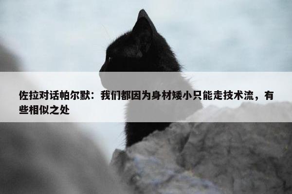 佐拉对话帕尔默：我们都因为身材矮小只能走技术流，有些相似之处