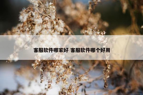 客服软件哪家好 客服软件哪个好用