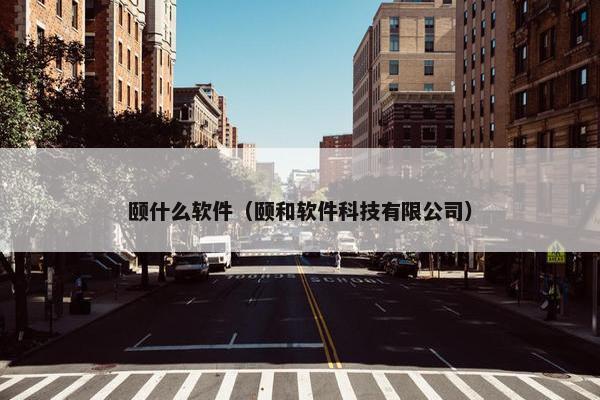 颐什么软件（颐和软件科技有限公司）