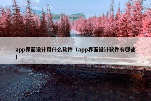 app界面设计用什么软件（app界面设计软件有哪些）