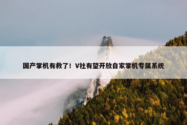 国产掌机有救了！V社有望开放自家掌机专属系统