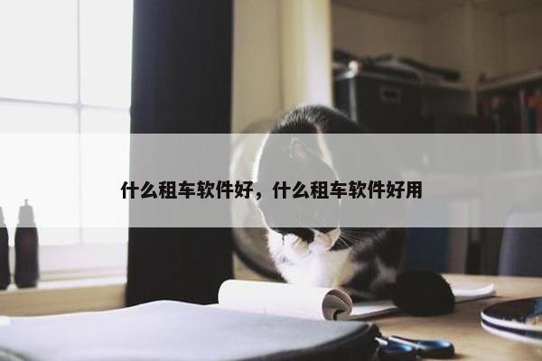 什么租车软件好，什么租车软件好用