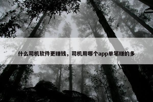 什么司机软件更赚钱，司机用哪个app单笔赚的多