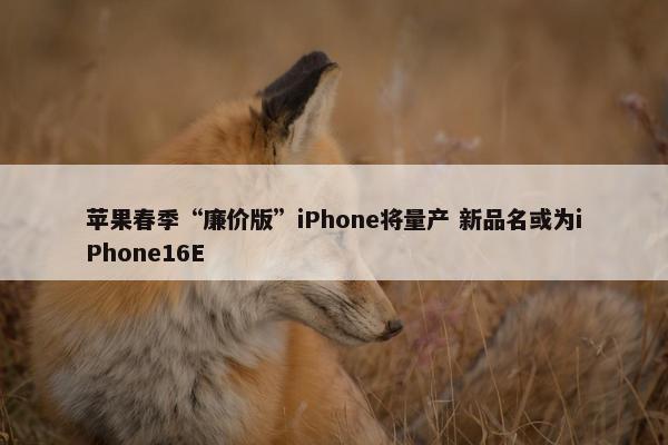 苹果春季“廉价版”iPhone将量产 新品名或为iPhone16E