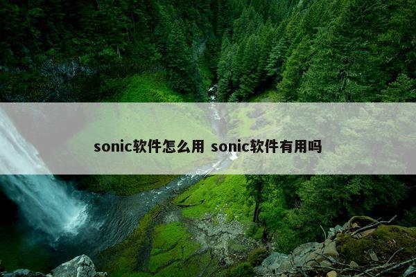 sonic软件怎么用 sonic软件有用吗