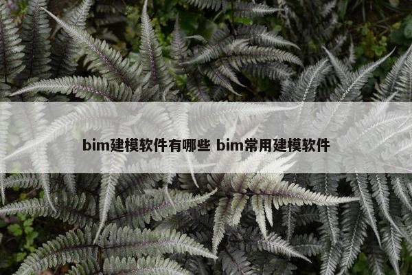 bim建模软件有哪些 bim常用建模软件