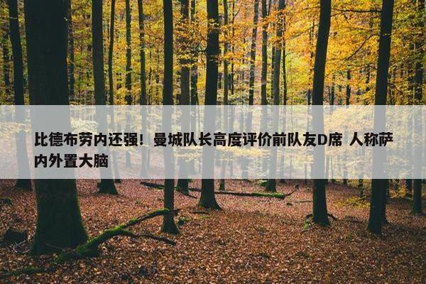 比德布劳内还强！曼城队长高度评价前队友D席 人称萨内外置大脑