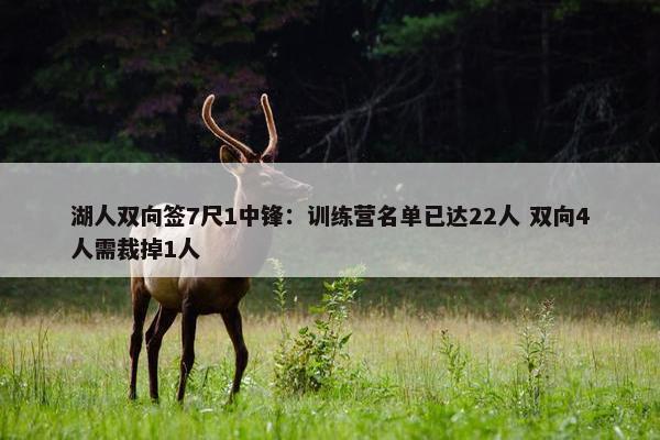 湖人双向签7尺1中锋：训练营名单已达22人 双向4人需裁掉1人