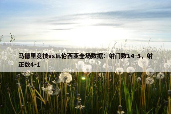 马德里竞技vs瓦伦西亚全场数据：射门数14-5，射正数4-1