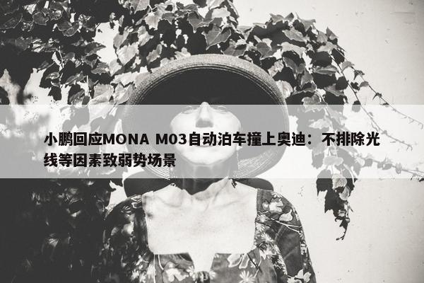 小鹏回应MONA M03自动泊车撞上奥迪：不排除光线等因素致弱势场景