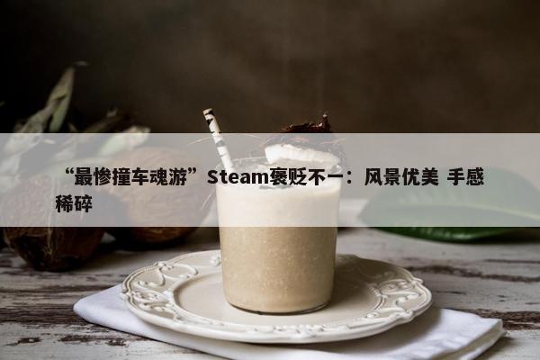 “最惨撞车魂游”Steam褒贬不一：风景优美 手感稀碎