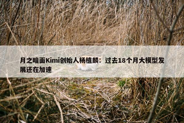 月之暗面Kimi创始人杨植麟：过去18个月大模型发展还在加速