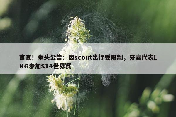 官宣！拳头公告：因scout出行受限制，牙膏代表LNG参加S14世界赛