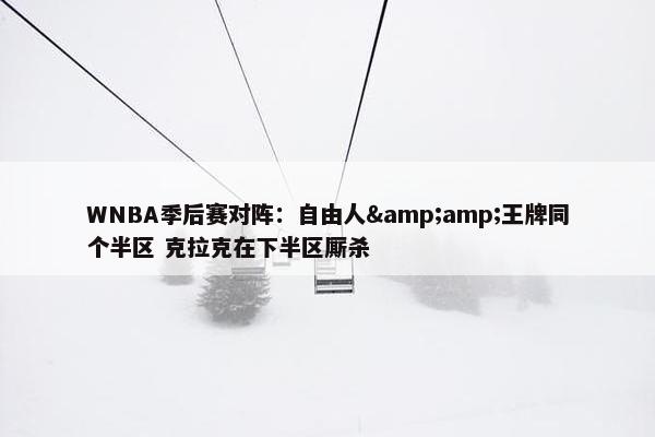 WNBA季后赛对阵：自由人&amp;王牌同个半区 克拉克在下半区厮杀