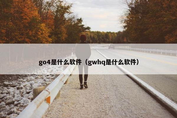 go4是什么软件（gwhq是什么软件）