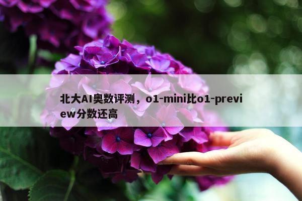 北大AI奥数评测，o1-mini比o1-preview分数还高