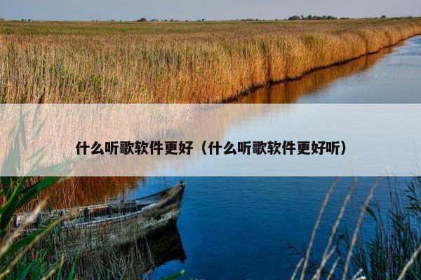 什么听歌软件更好（什么听歌软件更好听）