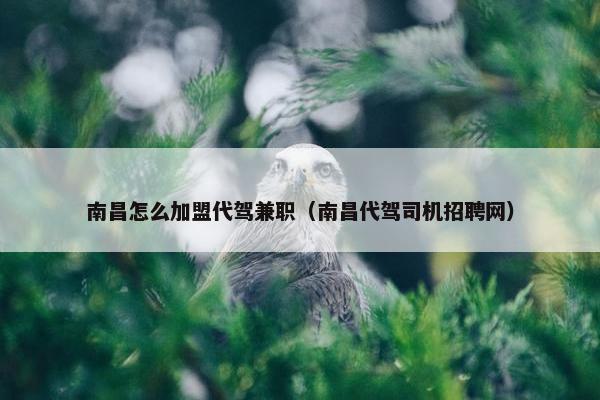 南昌怎么加盟代驾兼职（南昌代驾司机招聘网）