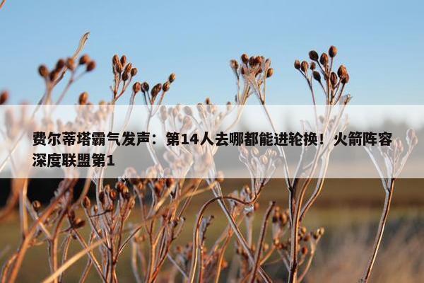 费尔蒂塔霸气发声：第14人去哪都能进轮换！火箭阵容深度联盟第1