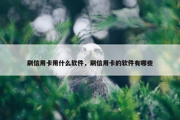 刷信用卡用什么软件，刷信用卡的软件有哪些