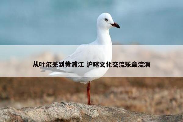 从叶尔羌到黄浦江 沪喀文化交流乐章流淌