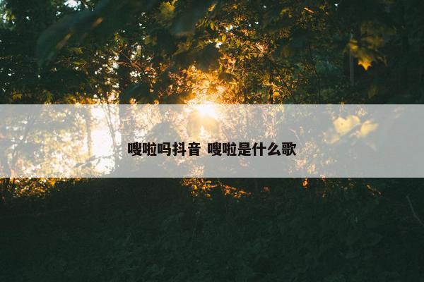 嗖啦吗抖音 嗖啦是什么歌