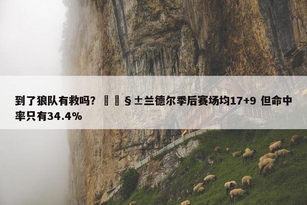 到了狼队有救吗？🧱兰德尔季后赛场均17+9 但命中率只有34.4%