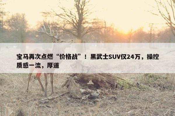 宝马再次点燃“价格战”！黑武士SUV仅24万，操控质感一流，厚道